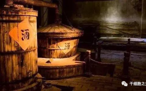 真的别喝了！酒精会造成干细胞DNA永久性损伤，诱发癌症风险