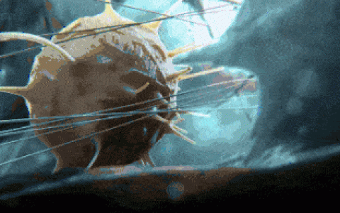 关于免疫细胞应用的10个问与答（后疫情时代细胞成为焦点，回顾免疫细胞的基础作用）