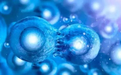 关于干细胞，最简洁的科普介绍(它很好，对病毒的治疗与身体修复作用也很安全有效）