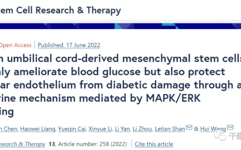 国际期刊首次揭示丨干细胞不仅降血糖，还能保护血管，抵抗糖尿病并发症