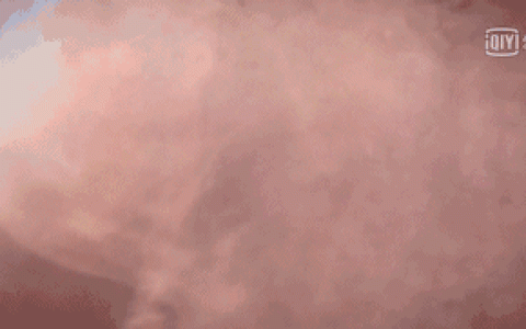 科学发现：人们患的所有病种的原因都可以归为是细胞出了问题