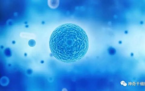 盘点2022年被干细胞和免疫细胞治疗拯救的多位患者