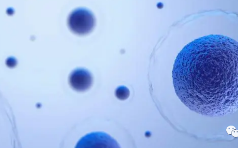 干细胞疗法：被寄托着能够治愈各类疾病的方法