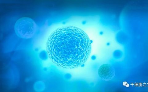 院士之声丨近6年，43位院士高度评价干细胞产业发展