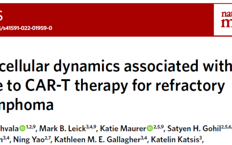 CAR-T细胞亚型在体内的动力学变化与疗效的相关性