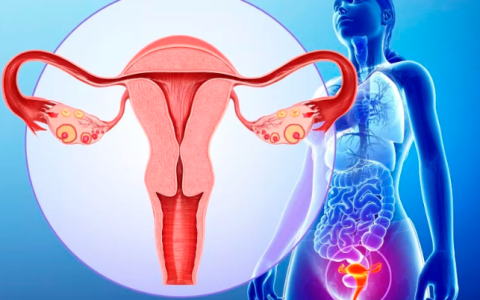 干细胞治疗卵巢早衰的十个问题！