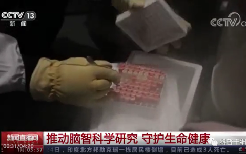 央视新闻：干细胞治疗近年逐渐成熟并进入临床转化