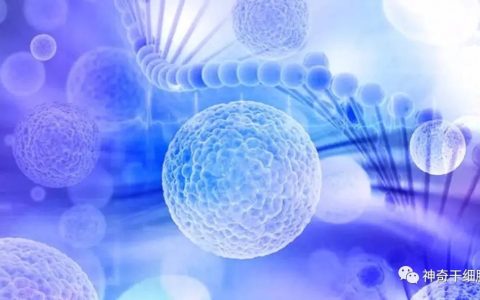 2023年干细胞发展将迎来爆发期，干细胞新药申报明显加快