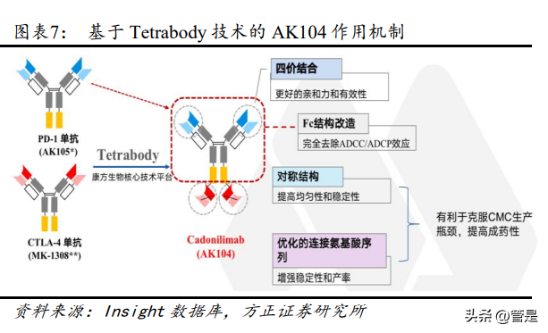 2023年康方生物研究报告 自免领域积极布局新治疗靶点