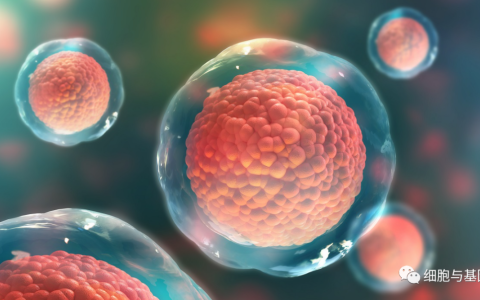 盘点 | CAR-T细胞治疗实体瘤这些有希望的靶点