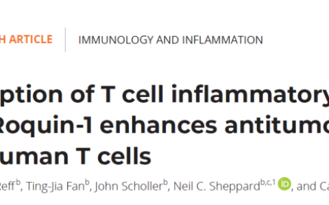 CAR-T之父最新论文，敲除两个基因，改善实体瘤治疗效果