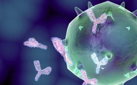 一文详述肿瘤免疫治疗！