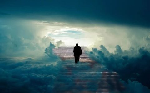 我们的身体为什么需要补充干细胞？