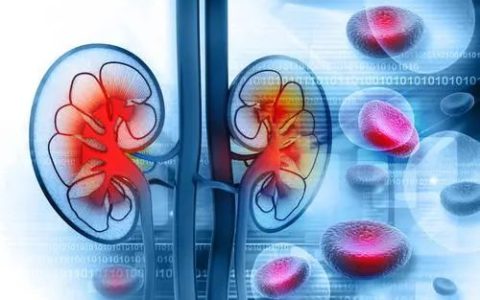干细胞干预CKD，让慢性肾病再慢一点！
