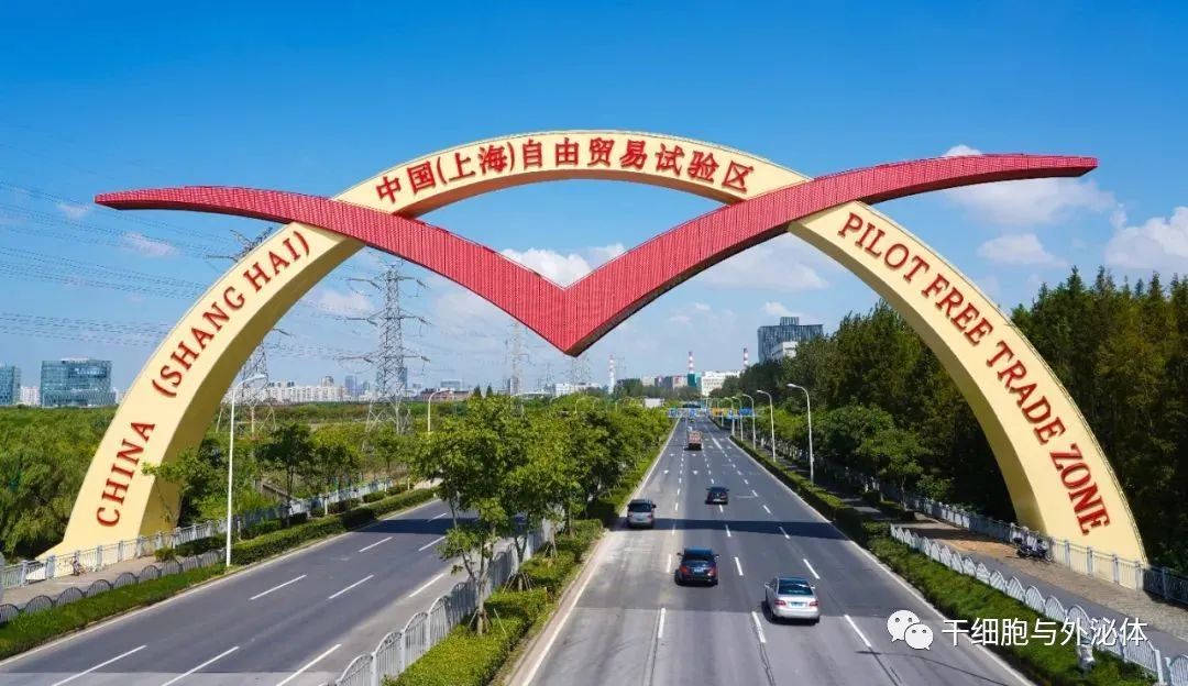 外高桥募资35亿元获受理，打造细胞与基因治疗跨境研发生产先行区