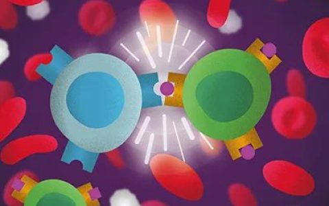 《自然》：T细胞研究的里程碑