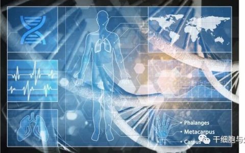 科普 | 间充质干细胞疗法如何彻底改变现代医学