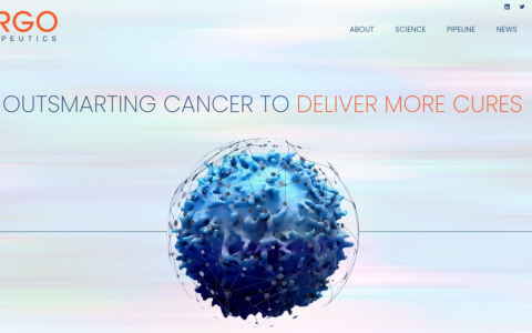 CAR-T疗法公司CARGO获2亿美元融资