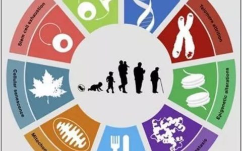 细胞治疗产品如何健康安全到达患者手里，你知道吗？