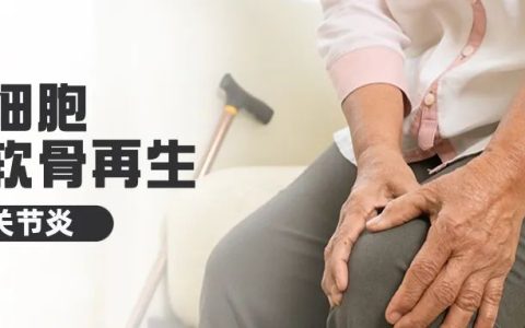 干细胞让软骨再生,治疗关节炎