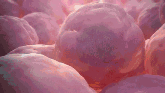 回输干细胞 | 如何对人体实现精准修复？