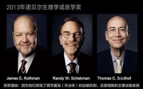 学术前沿丨外泌体技术及其主要研究进展概述