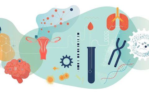 干细胞治疗在修复肺部、卵巢和大脑等器官中的应用