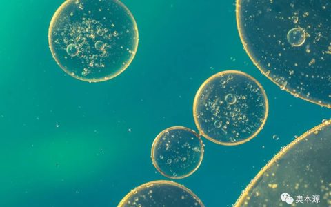 衰老导致脱发？中美联合研究：间充质干细胞外泌体让毛发重生