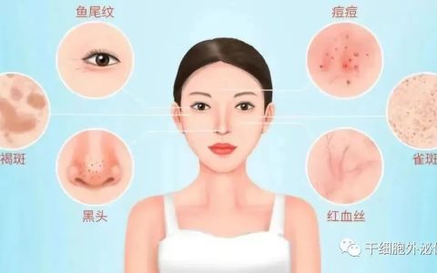 关于美业新晋“网红”外泌体，99%的人不清楚