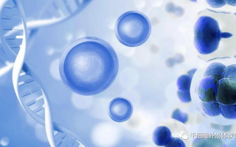 关于外泌体皮肤抗衰，你不知道的秘密