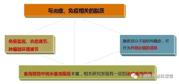 关于美业新晋“网红”外泌体，99%的人不清楚