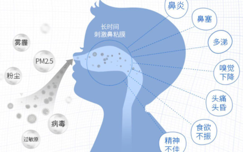 间充质干细胞会是过敏性鼻炎的救星吗？