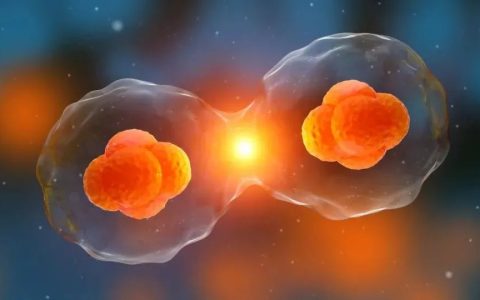 国内70%的人处在“亚健康”状态，细胞故障为亚健康祸源