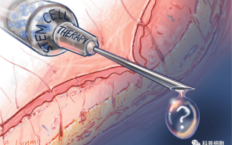 常见的干细胞七大谣言