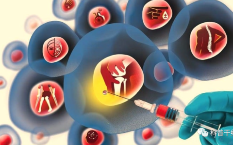 盘点 | 20个值得关注的干细胞研究项目