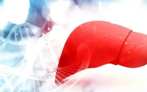 干细胞是如何拯救脂肪肝的？