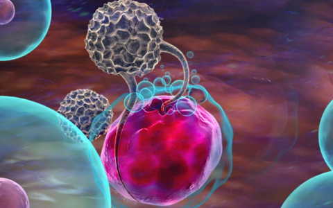 【史上最全】免疫细胞疗法常见问题汇总解答！