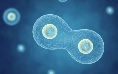 中科院院士:“干细胞替代、修复缺损器官，延缓衰老，增强我们的健康”