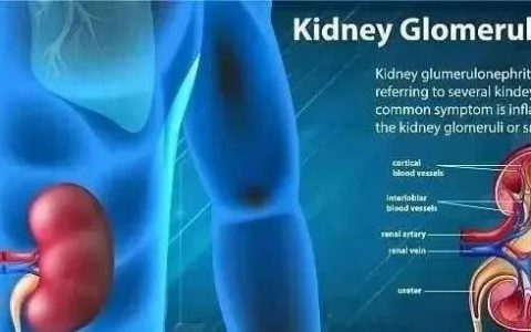 告别肾透析？干细胞疗法有望替代肾脏移植手术！