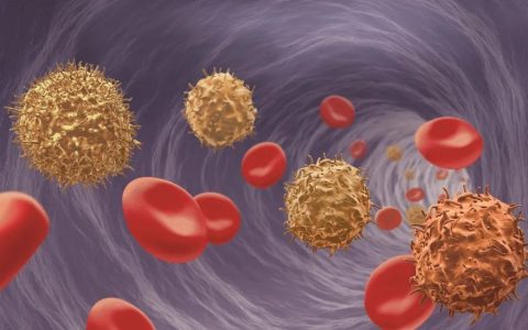 关于Treg细胞，你想知道的在这里