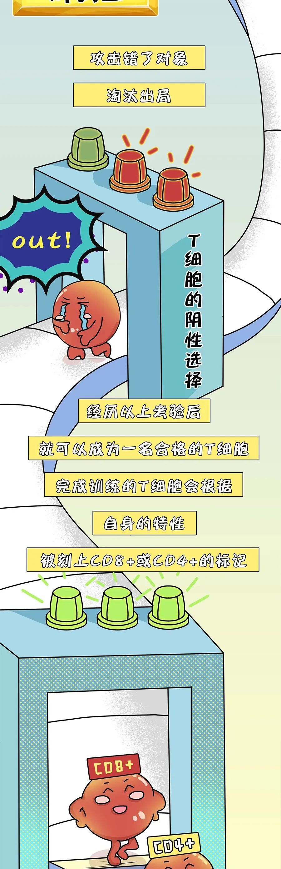 漫画小科普|免疫细胞界的“杀手”