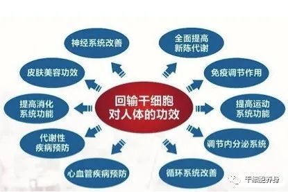 关于干细胞治疗的八大误区