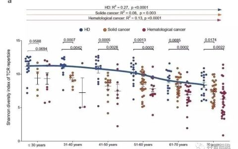 40岁后免疫细胞开始老化，如何让它“重新复活”？