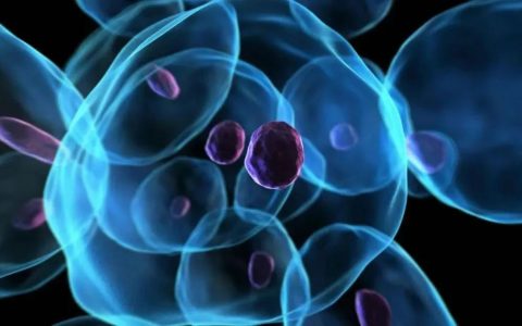 抗病毒、抗衰老、提升免疫力，NK细胞越来越受到医学界重视