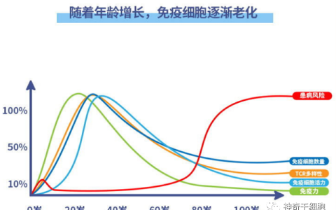 年龄越大免疫力越差，补充免疫细胞是关键！