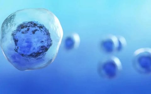 干细胞一次性征服人类三大天敌：衰老、免疫力、癌症