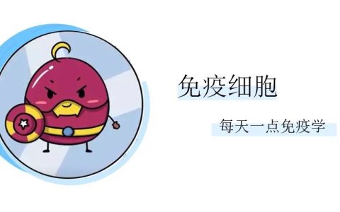 科普 | 免疫细胞治疗为何有效？