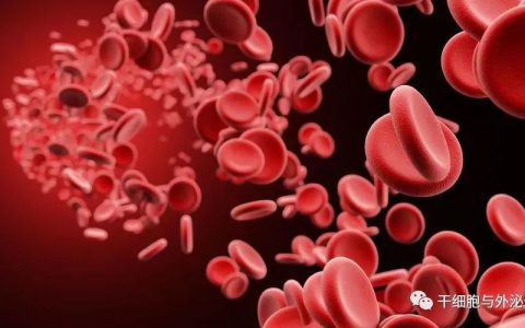 解放军总医院 | 间充质干细胞联合治疗27例再生障碍贫血全部植入成功