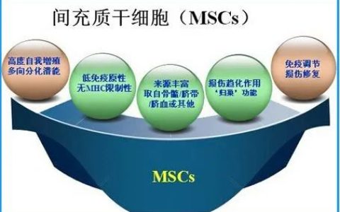 五大干细胞之最 | 解密干细胞—人类生命之源！