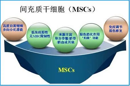 五大干细胞之最 | 解密干细胞—人类生命之源！